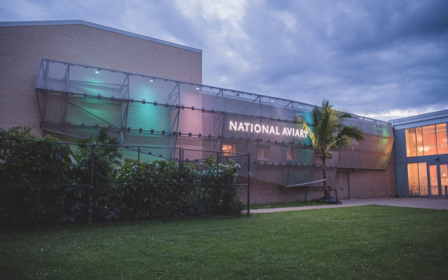 National Aviary Tour: Sunday, October 2, 2022 from 11:30 am to 1:00 p.m.
