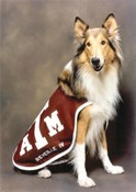 Miss Reveille IV (1975-1984)
