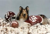 Miss Reveille V (1984-1999)