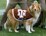 Miss Reveille Vi (1993-2003)