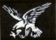SouthSide Falcons