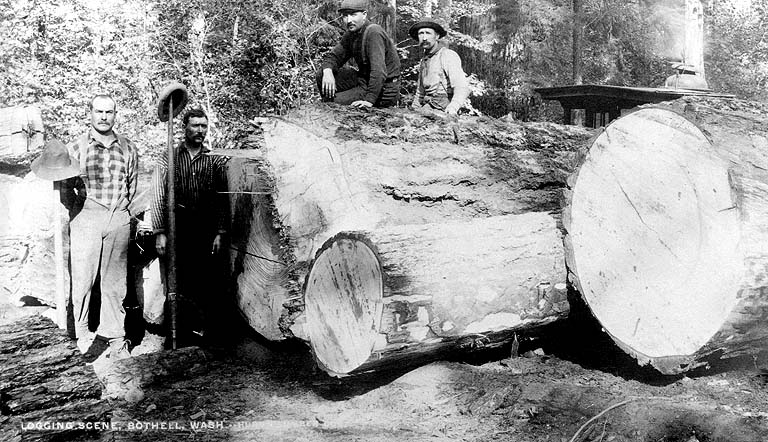 1890 Logging