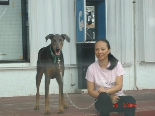 tim girl and dog