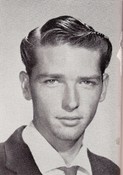 Lynn McDonald